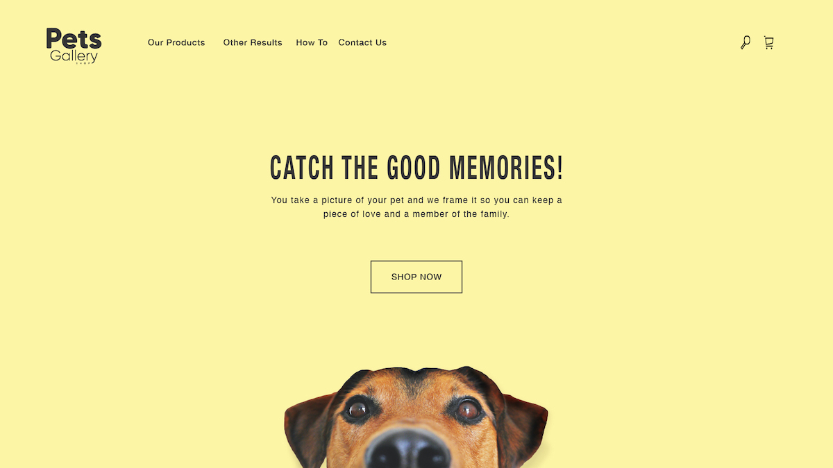 Pets Gallery